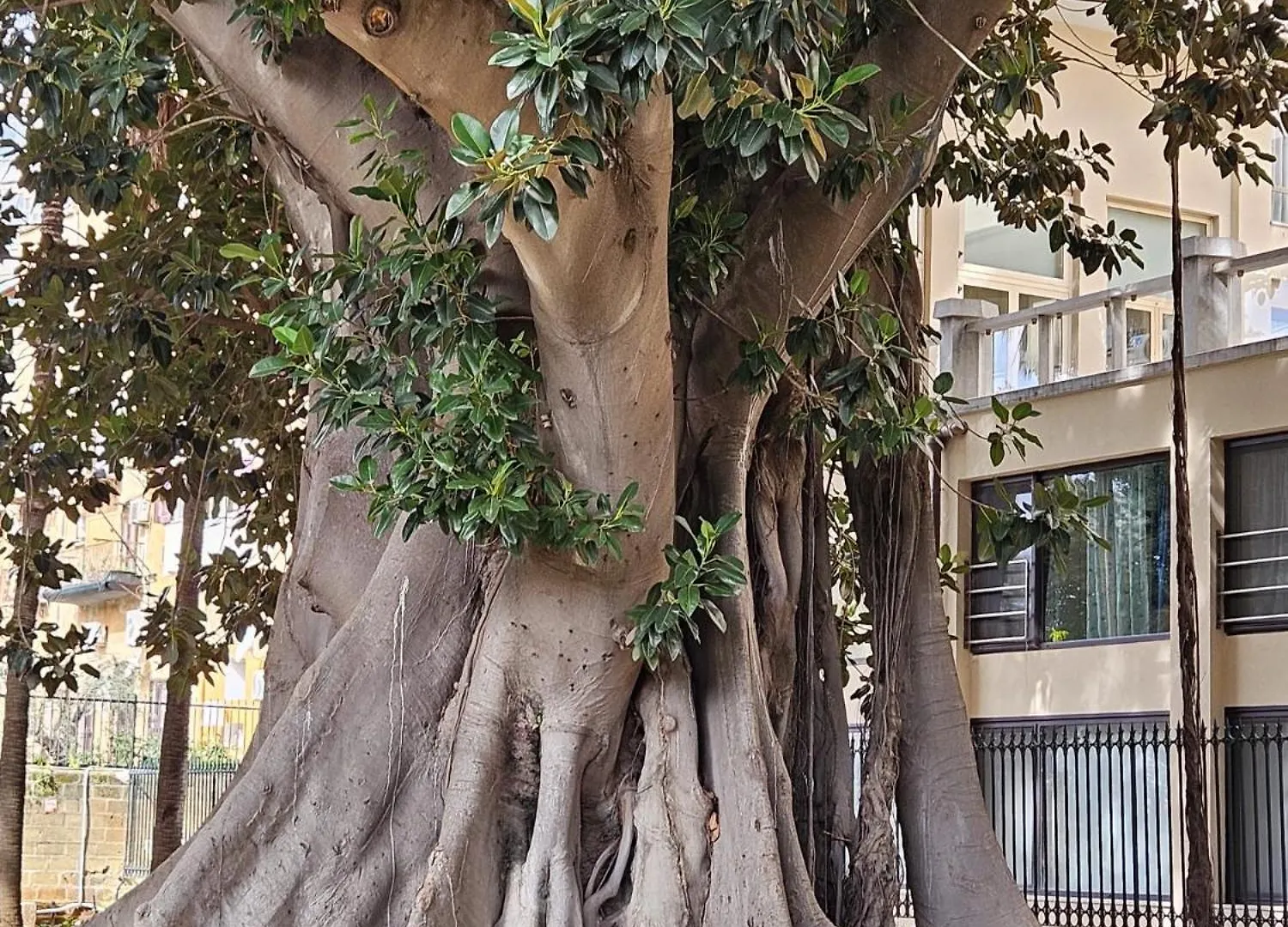 Casa Porta Nuova Apartment Palermo Italy